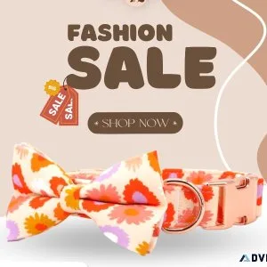 Stylish Personalized Dog Collar in Canada  Dog Collar With Bow
