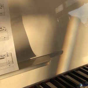Turn a song into Sheet Music for piano
