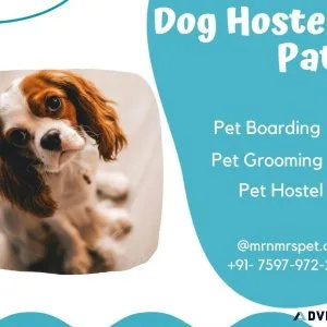 Dog Hostel Patna At Affordable Price