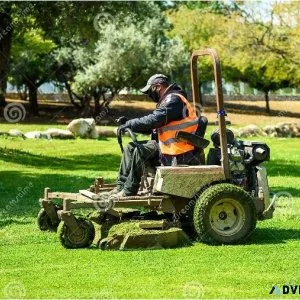 LAWN MAINTENANCE OF FLORIDA
