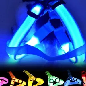 Free dog harness just pay shipping