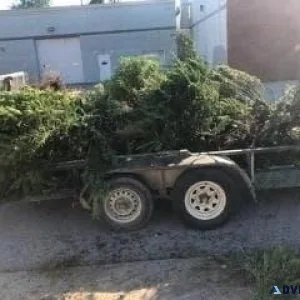 Brushtreedebris removaldemo workmuch more