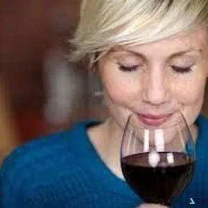 Find Your PERFECT WINE