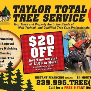 HURRICANE TRIM TREE REMOVAL GRAPPLE LOADS DUMPSTER SERVICE