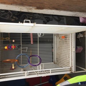 Large bird cage for sale