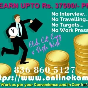 ONLINE PROMOTIONAL WORK WITH ONLINE KAM