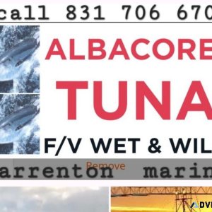 Albacore tuna