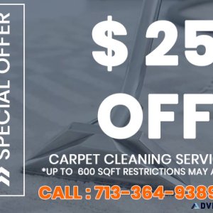 Cleaning Carpet Houston