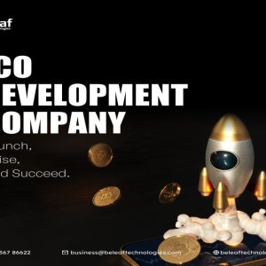Ico development service