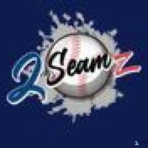 Plyo Balls for Baseball  Baseball Pitching Balls - Two Seamz