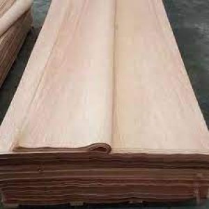 Wood veneers manufacturers in india