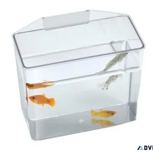 Aquariums for Sale  Explore a Variety of Fish Tanks  Peta2z