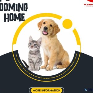 Pet Grooming At Your Doorstep by &quotFluffy Touch"