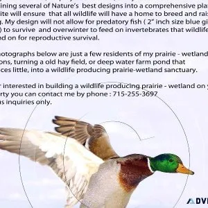 wetland prairie restoration job wanted