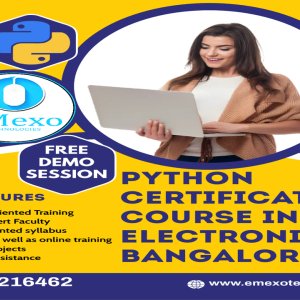 Python training in electronic city bangalore