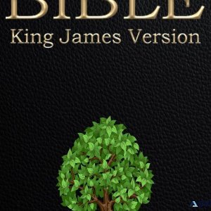 Holy Bible Red Letter Edition JumpToVerse KJV