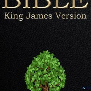 Holy Bible Red Letter Edition JumpToVerse KJV