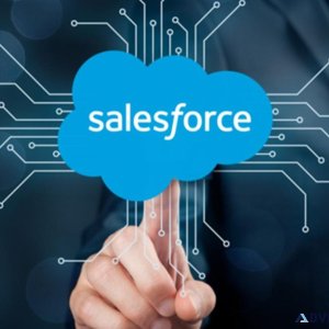 Salesforce Training in OMR