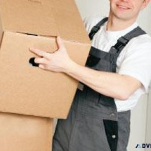 MAN AND VAN HIRE INSURED QUALIFIED AND RELIABLE