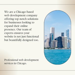 Web development company in chicago