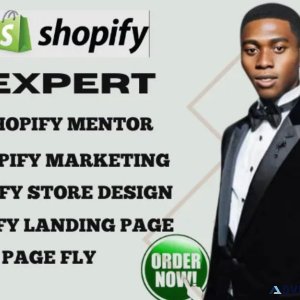 I will build shopify storelanding page page fly shopify redesign