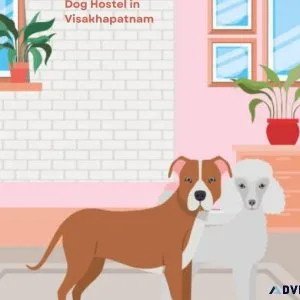 Affordable Dog Boarding Services in Visakhapatnam