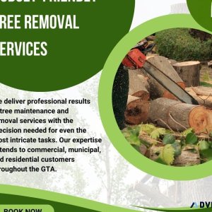 Affordable Tree Removal Service Toronto