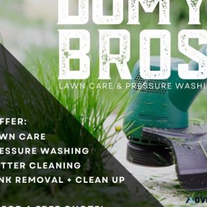 Domy bro pressure wash and lawn care LLC