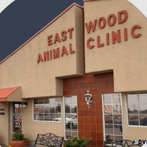 Choose The Best Animal Hospital in El Paso