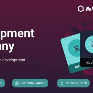 Finding a professional token development company