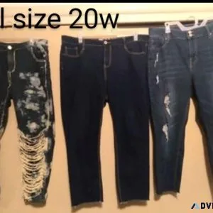 Jeans plus size