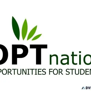 Entry Level Jobs For OPT Students