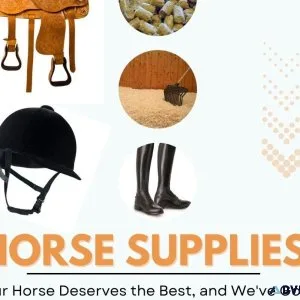 Horse Supplies in Laguna Beach
