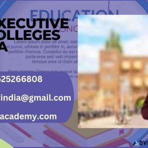 Best Executive MBA Colleges In India