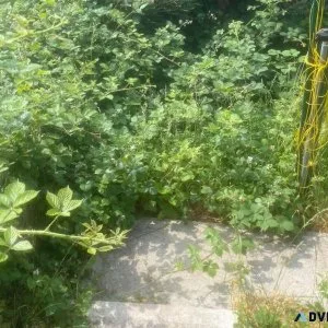 IJR property maintenance
