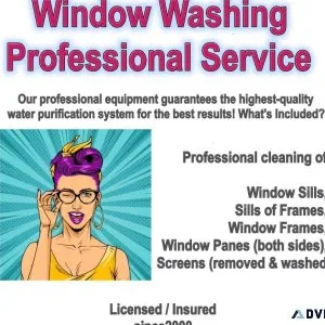 Professional Window Washing Service