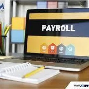 Best payroll services in mohali