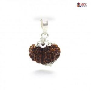 Get 13 mukhi rudraksha benefits online