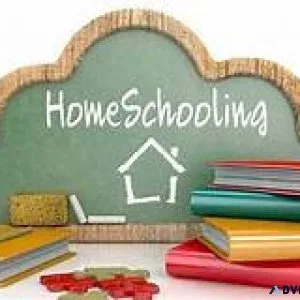 New Virtual School K-12