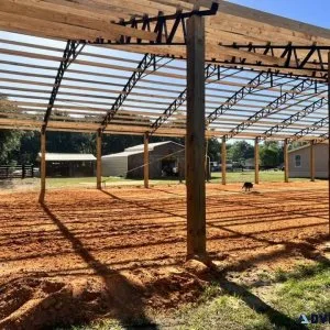CHRISTMAS IS ON ITS WAY ....