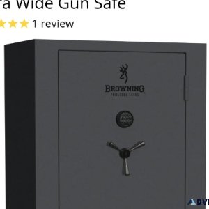 Browning 49 wide safe