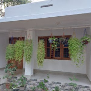 Homestay in guruvayur