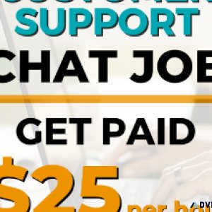 Website Chat Support Agent  30hr