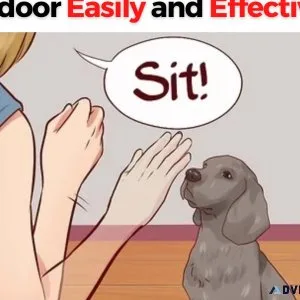 How To Train Your Puppy