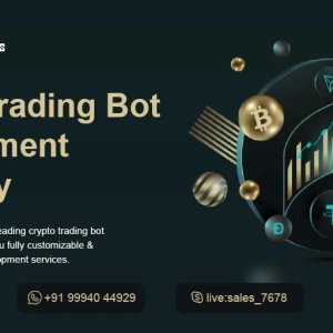 24/7 crypto profits: wealwin builds your trading bot