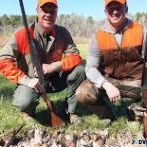 Find The Best Pheasant Shooting At Westervelt Lodge