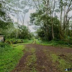 Small building lot in Pahoa