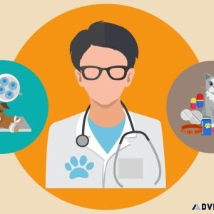Trusted Pet Clinics in Sector 137 Noida  Vet Land Pet Clinic