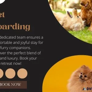 Exceptional Pet Boarding Services in Tacoma WA