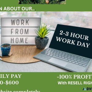 Daily Pay Freedom Earn 300-600 a Day